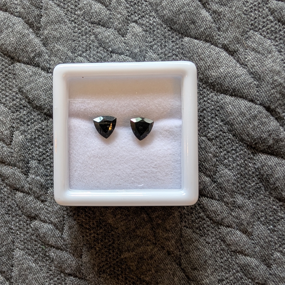 Elegant Black Stud Earrings